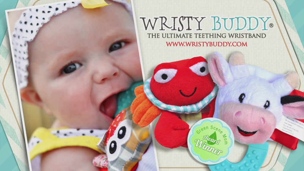 Wristy Buddy Dinosaur Baby Teether for 4 Months+