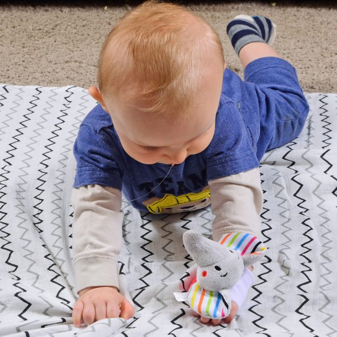 Wristy Buddy Elephant Baby Teether for 4 Months+